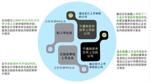 德勤 关于强化上市公司及拟上市企业内部控制建设 推进内部控制评价和审计的通知 要点解读